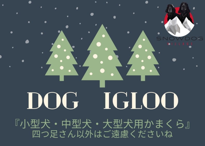 2021 Dog Igloo